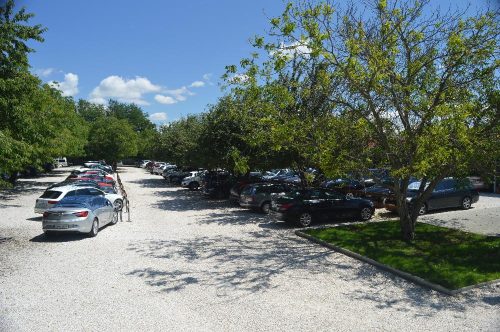 Napos parkoló, autók sorakoznak fák alatt, zöld környezetben.